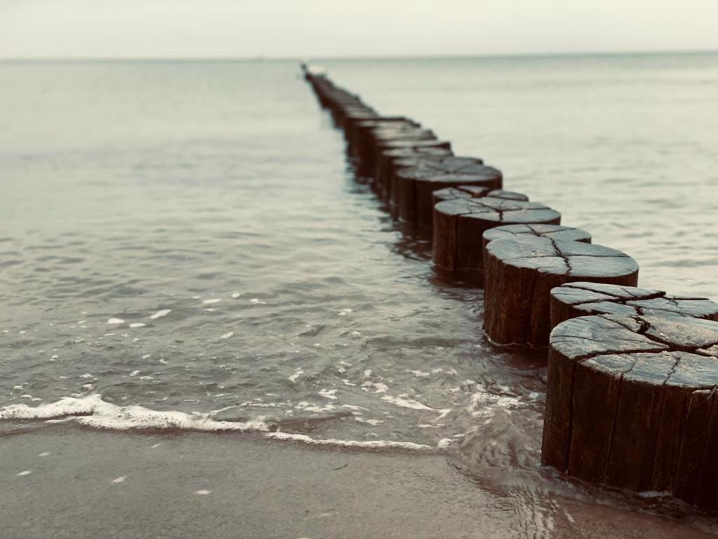 Ostseenordstern * Rostock